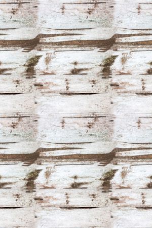 休闲印花华亿平台图片