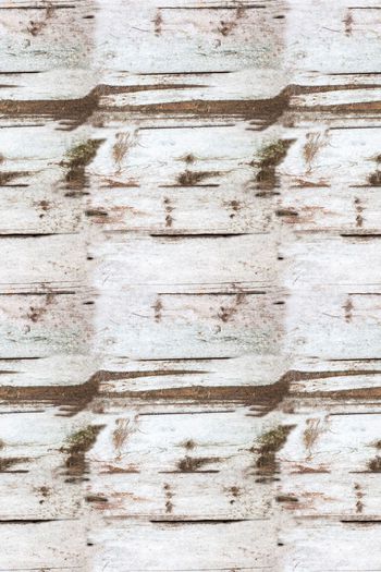 582497-男装自然木纹理