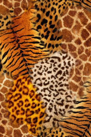 动物纹印花华亿平台图片