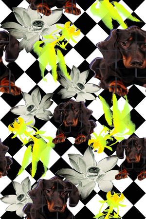 零点--男装印花华亿平台图片