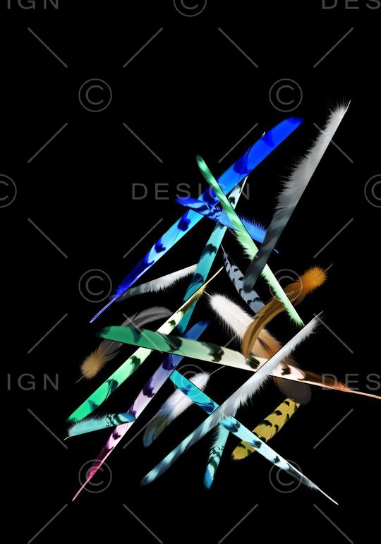 羽毛印花华亿平台图片