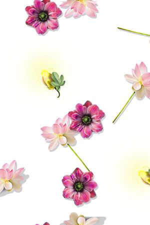 内销印花华亿平台图片