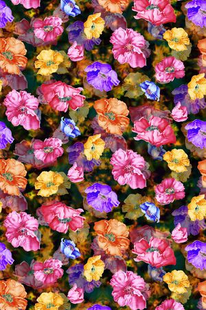 休闲印花华亿平台图片