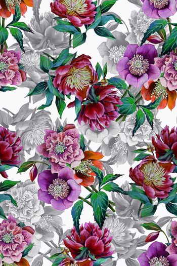 582985-水彩 服装 花卉 