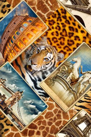 休闲风印花华亿平台图片