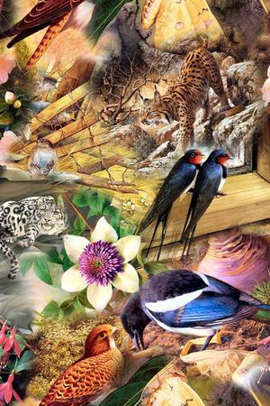 风景印花华亿平台图片