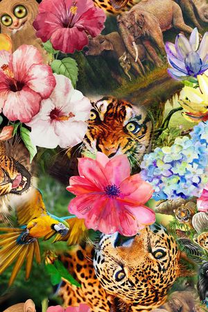 热带印花华亿平台图片