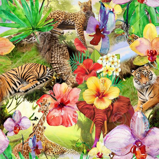 热带印花华亿平台图片