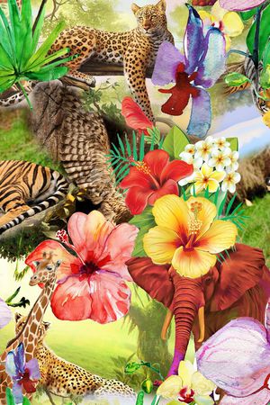 热带印花华亿平台图片