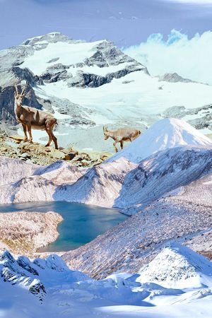 风景印花华亿平台图片