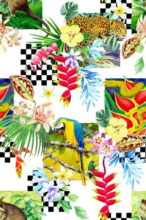 天堂鸟花印花华亿平台图片