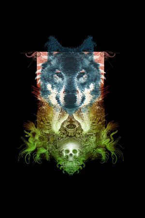 骷髅印花华亿平台图片