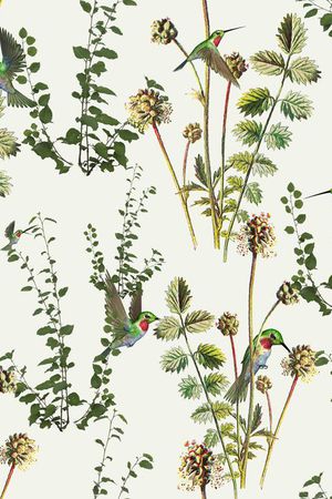 蜂鸟印花华亿平台图片