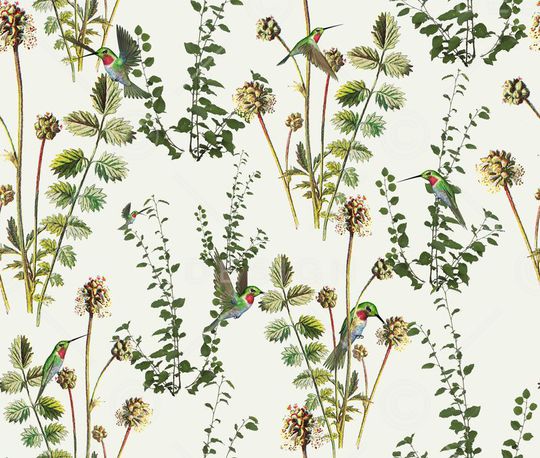 蜂鸟印花华亿平台图片