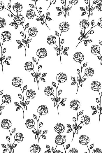 583358-简单 大方 手绘花卉