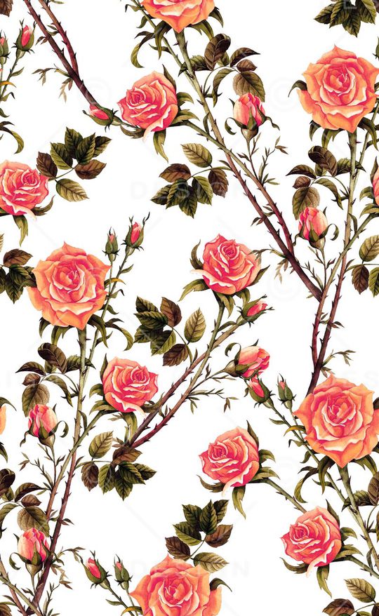 玫瑰花印花华亿平台图片