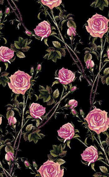 583420-欧美时尚多色玫瑰花