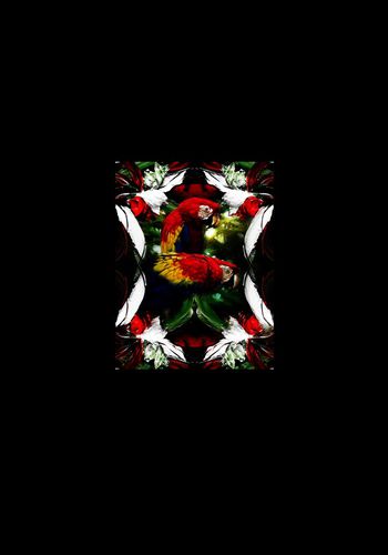 数码印花印花华亿平台图片