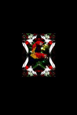 数码印花印花华亿平台图片