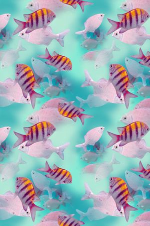 海底世界印花华亿平台图片