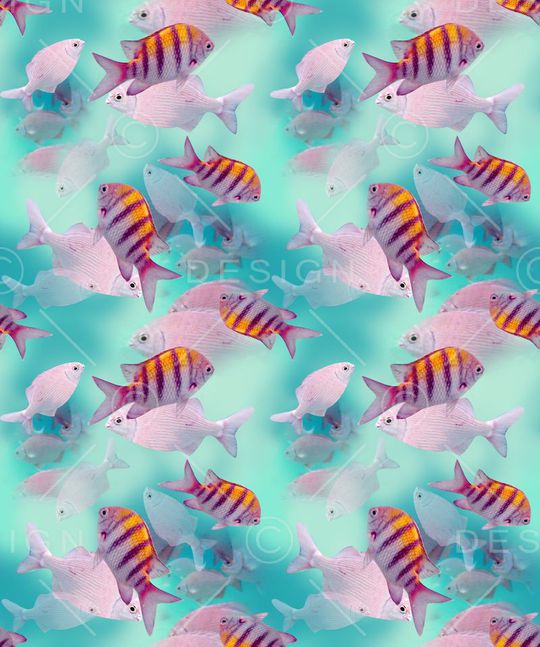 海底世界印花华亿平台图片