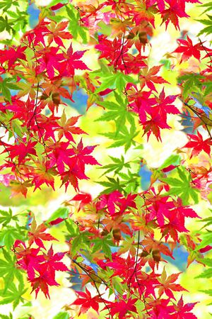 时尚大牌欧美风格印花华亿平台图片