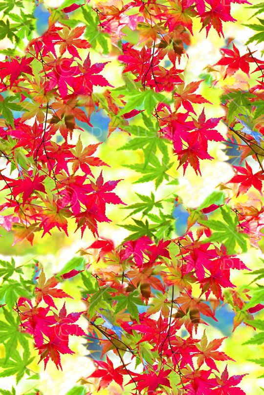 时尚大牌欧美风格印花华亿平台图片