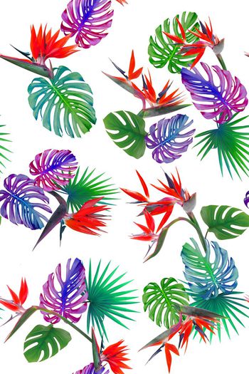 583622-热带雨林之热带风格花