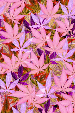 热带雨林风印花华亿平台图片