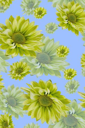 潮流时尚大牌印花华亿平台图片