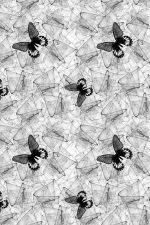 蝴蝶印花华亿平台图片