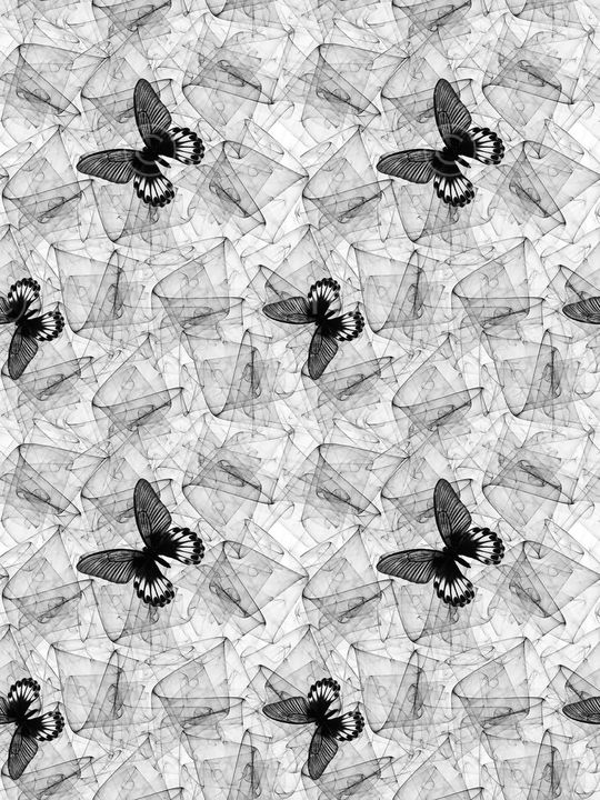 蝴蝶印花华亿平台图片