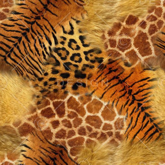 动物纹印花华亿平台图片