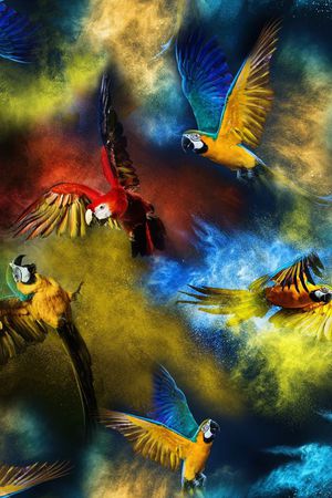 休闲风印花华亿平台图片