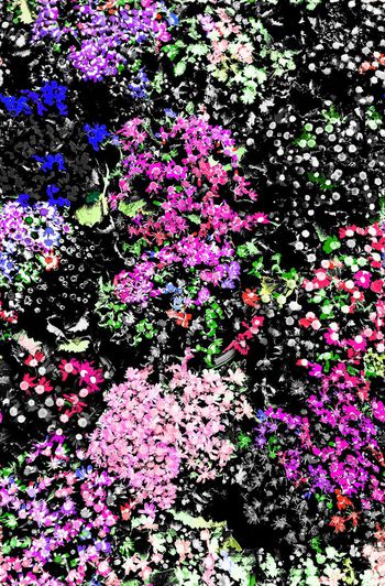 584183-热带花卉小碎花男装