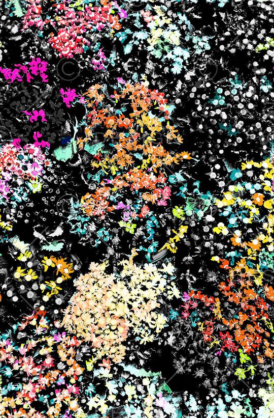 热带印花华亿平台图片