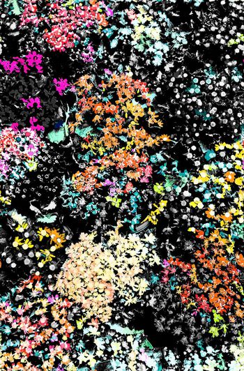 584184-热带花卉小碎花男装