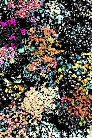 热带印花华亿平台图片