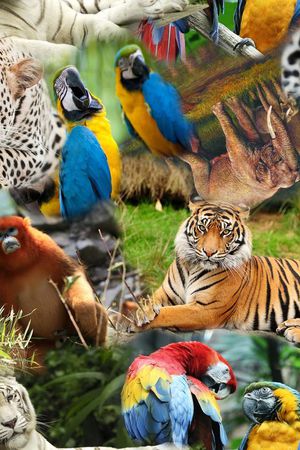 休闲风印花华亿平台图片