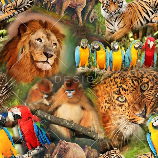 休闲风印花华亿平台图片