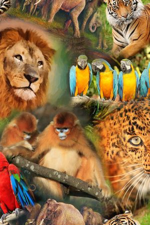 休闲风印花华亿平台图片