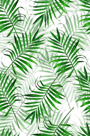 热带印花华亿平台图片