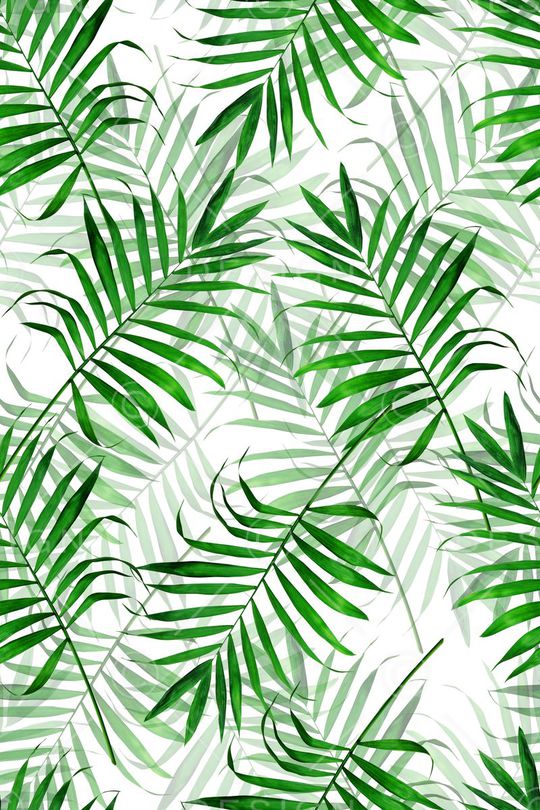 热带印花华亿平台图片