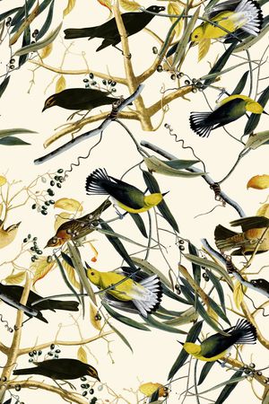 复古印花华亿平台图片