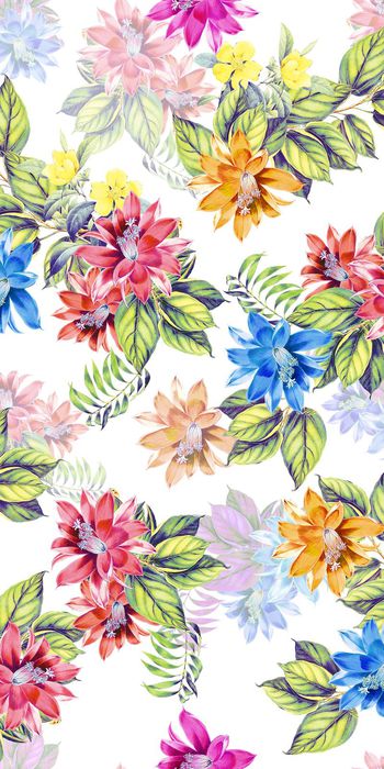 热带印花华亿平台图片