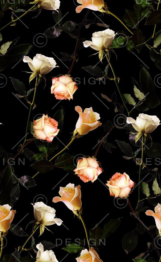 玫瑰花印花华亿平台图片