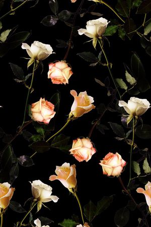 玫瑰花印花华亿平台图片