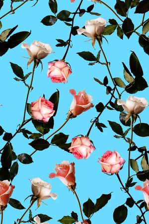 玫瑰花印花华亿平台图片