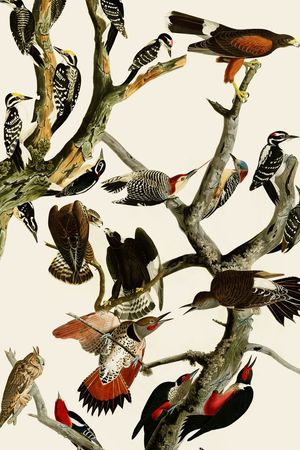 定位服装印花华亿平台图片