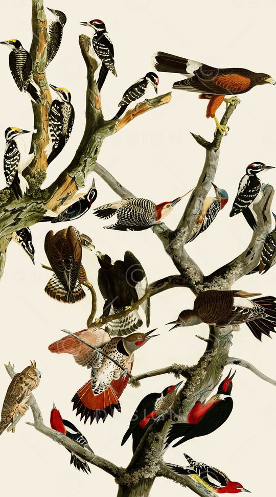 定位服装印花华亿平台图片